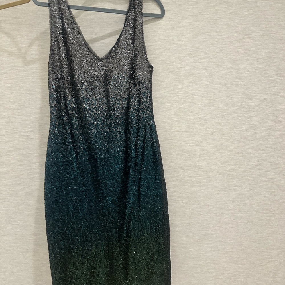 Elegant Sequin Ombre Dress by Rachel Rachel Roy